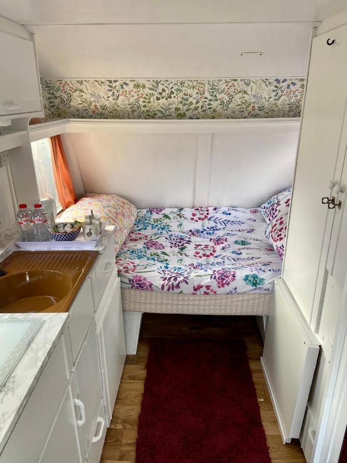 Cosy Caravan At Carrigeen Glamping Hotel Kilkenny Kültér fotó