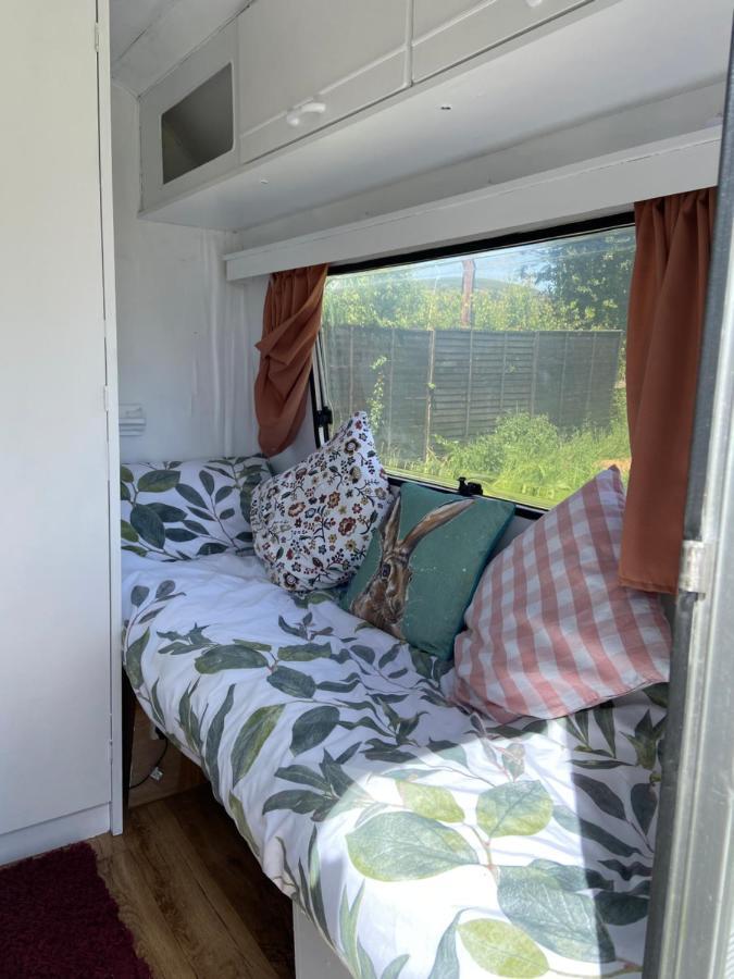 Cosy Caravan At Carrigeen Glamping Hotel Kilkenny Kültér fotó